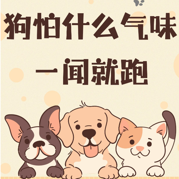 狗狗气味传输